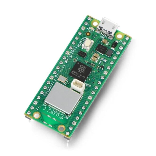 Raspberry Pi Pico W